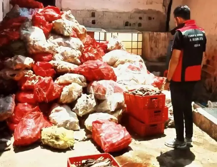 Adana’da mide bulandıran görüntüler! İşkembe ve paça yerken bir kez daha düşüneceksiniz