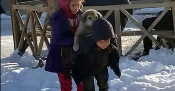 Türkiye onu sırtında yavru köpeği taşıdığı fotoğrafla tanıdı! Suriyeli Mustafa ’Ayaz’ adını verdiği köpeğe evlerinde bakıyor