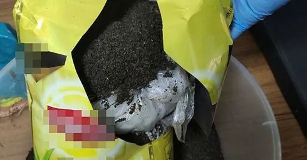 Zehir tacirlerine operasyon: Çay paketinden uyuşturucu çıktı