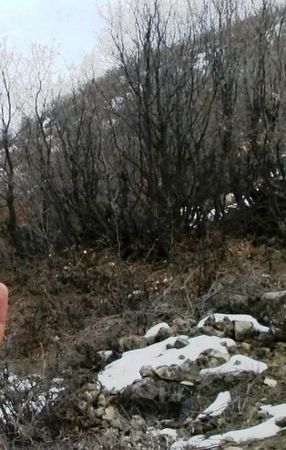 TSK'dan PKK'ya 'eşek arısı' darbesi