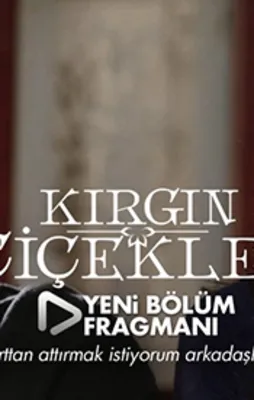 Kırgın Çiçekler bu akşam saat 20:00'de ATV'de