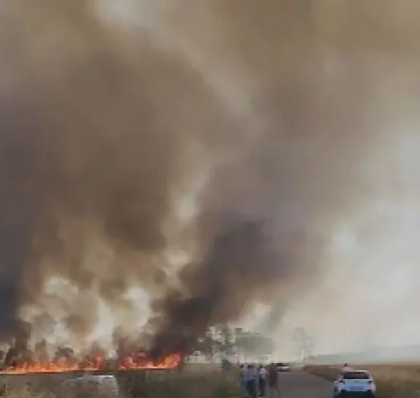 son-dakika-catalcada-bugday-tarlasinda-korkutan-yangin-1688314607392.jpeg