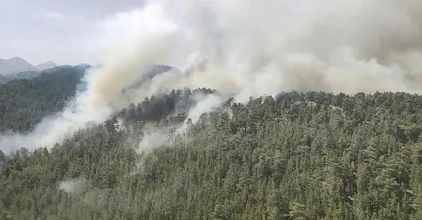 Antalya Akseki'de orman yangını