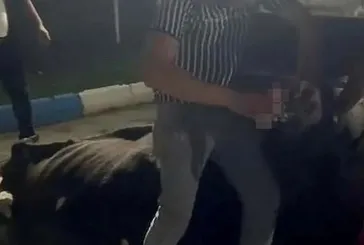 İneğe alkol içirme skandalı