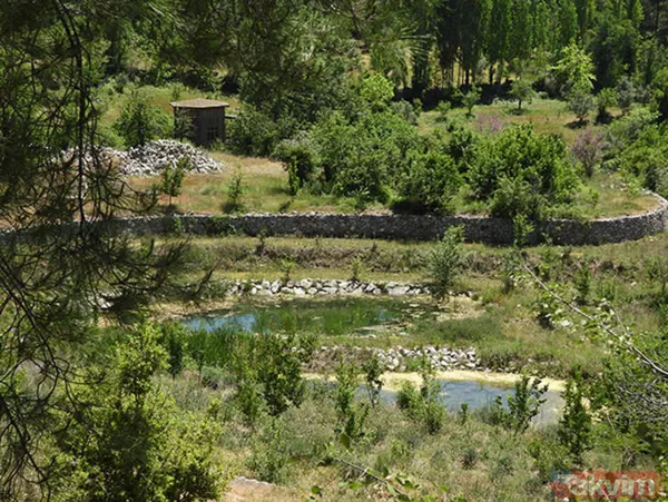 Cenk Tosun paraya kıydı iç dekorasyonun maliyeti de evin fiyatı kadar! Eşi ne isterse onu yaptırıyor işte 'Tosun Paşa'nın sarayı... - 50