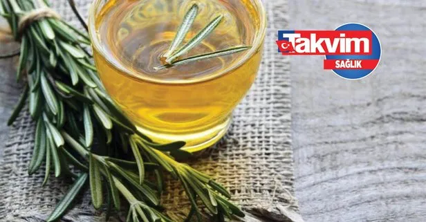 Zeytin yaprağı çayı faydaları neler? Zeytin yaprağı çayı neye iyi gelir, nasıl yapılır?