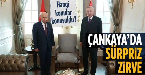 Son dakika: Başkan Erdoğan ile MHP Genel Başkanı Bahçeli arasında sürpriz görüşme! Masada Anayasa çalışmaları var