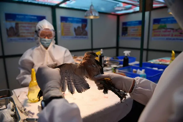 koronavirus-mutasyona-ugramis-koronavirus-derken-simdi-de-kus-gribi-japonyada-58-milyon-kumes-hayvani-itlaf-edildi-1610958293390.jpg Koronavirüs ve mutasyona uğramış koronavirüs derken şimdi de kuş gribi! Japonya'da 5.8 milyon kümes hayvanı itlaf edildi-5