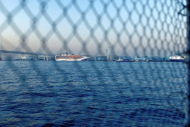 Japonya'da karantinaya alınan cruise gemisinde 99 kişide daha Koronavirüs tespit edildi!-2