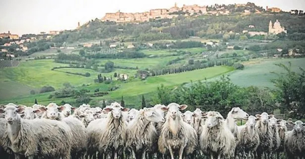 Sivas Kang’al’ı