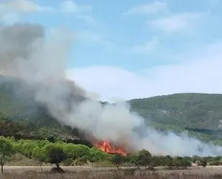 Çanakkale’de orman yangını