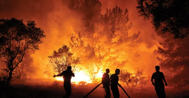Orman Genel Müdürlüğü'nden yangına hızlı müdahale için yeni 5 bin kilometrelik orman yolu