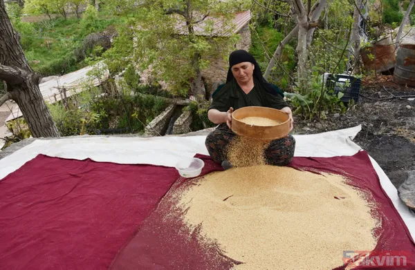 Çukurca'da ilaç kullanılmamış topraklarda üretilen susam 400 yıllık değirmende öğütülüp tahin olarak dünyaya ihraç ediliyor - 17