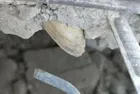 Hatay'da yıkılan binaların deniz kumu harcıyla yapıldığı ortaya çıktı! Sosyal medyada tepkiler çığ gibi büyüdü