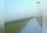 Rusya’da martı sürüsüne çarpan uçak acil iniş yaptı
