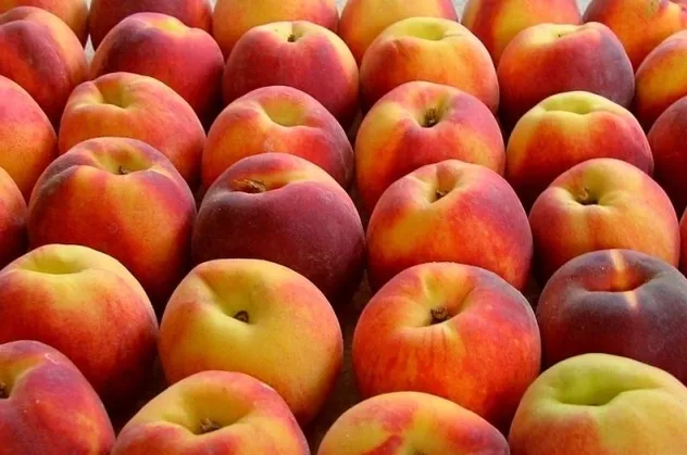 3 günde 3 kilo verdiren şeftali diyeti!