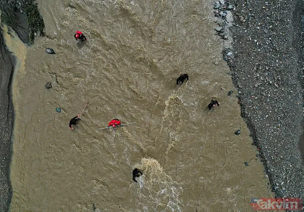 AFAD'dan Kastamonu ve Düzce'de meydana gelen sele dair son detaylar aktarılarak 7 bölge için yeni uyarı - 21