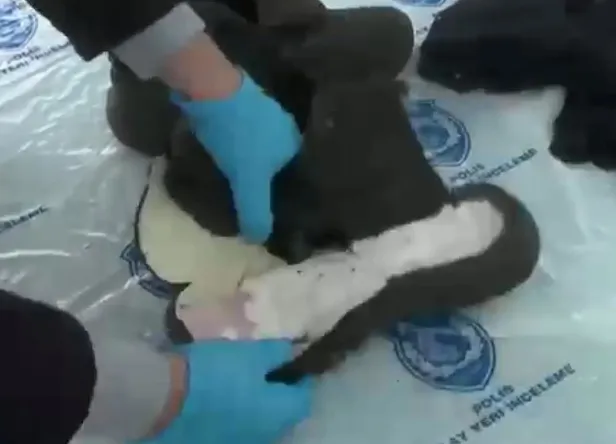 Bomba düzeneği ile yakalandı! Suriye’den gelen terörist bombalı eylem yapacaktı