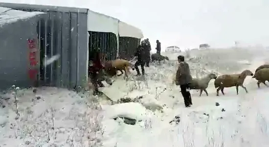 Sivas'ta feci olay! Gören oraya koştu...-4