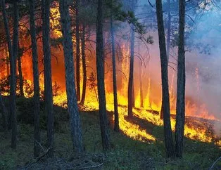 27 orman yangınını PKK üstlendi