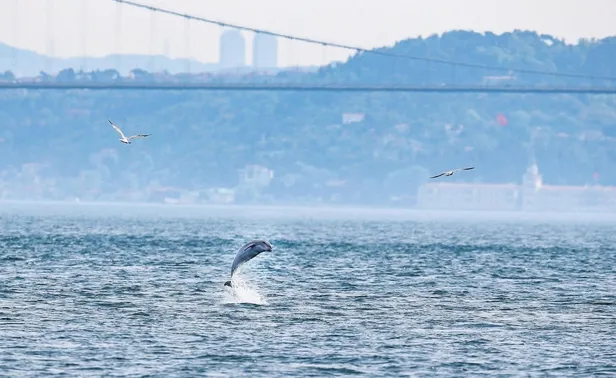 Bilim dünyasından sevindiren haber: Güneş Kovid-19 salgınını bitirecek-6