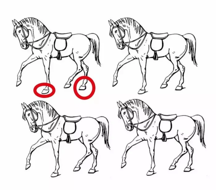 4-at-icinde-farkli-ati-bulduysan-hafizan-zirvelerde-cikiyor-1713274377429.jpg Beyninizi test edin: 4 at içinde farklı atı bulduysan hafızan zirvelerde çıkıyor-5