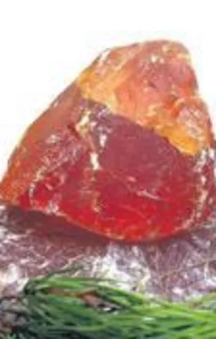 Çam sakızı 700 TL