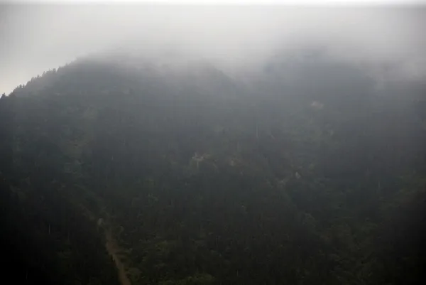 Trabzon'da teröristlerle çatışma!-2