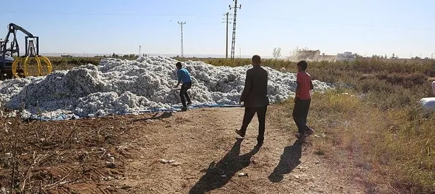 Türkiye'yi sarsan olayda yeni gelişme