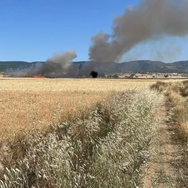 Yozgat’ta 20 dönüm ekili alan kül oldu