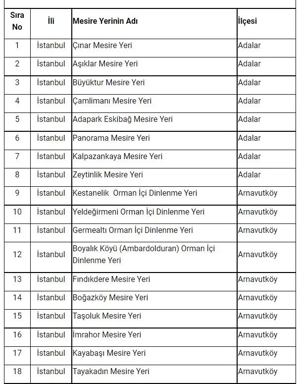 Son dakika: İstanbul'da ormanlara giriş yasağı! Vali Yerlikaya duyurdu: Ormanlara giriş yasağı 31 Temmuz'a kadar sürecek! İşte mangal yapmanın yasak olduğu yerler...-8