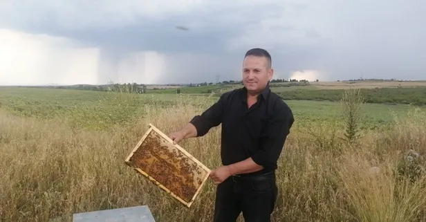 Sosyal medyada mesaj yayınladı hırsızlar kovanları geri getirdi