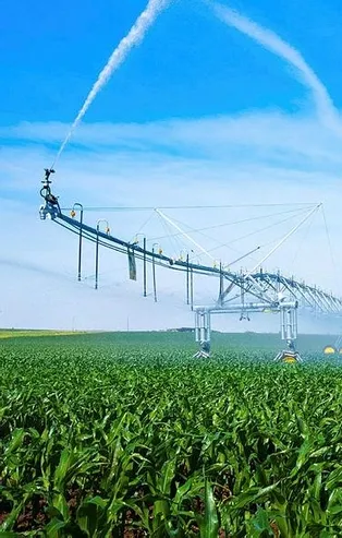 Bakan Pakdemirli açıkladı: TİGEM-Ceylanpınar Sulama Projesi yarın hayata geçiriliyor! Türkiye'nin en büyüğü...