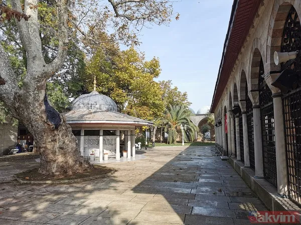 İstanbul’un saklı hazinesi 450 yıldır ayakta: Valide-i Atik’te zaman yolculuğu - 5