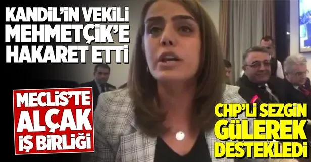HDP’li Ayşe Acar Başaran’dan Mehmetçik’e hakaret etti CHP’li Tanrıkulu gülümsedi