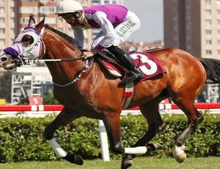 Kaizbert tartışması