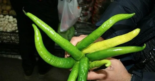 Migrene karşı yeşilbiber
