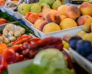 Meyve ve sebzelerde salgın hastalık alarmı!