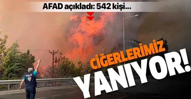 Son dakika: AFAD’dan Hatay yangınına ilişkin açıklama: 542 kişi kontrollü bir şekilde evlerine yerleştirildi