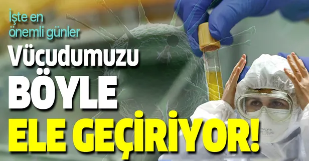 Koronavirüs vücudumuzu böyle ele geçiriyor! Bulaşmada en kritik günler...