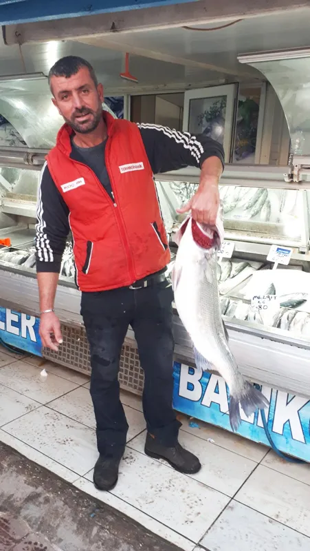 kilosunu-100-liradan-satti-canakkale-geliboluda-7-kiloluk-levrek-yakalandi-1634736599645.jpg