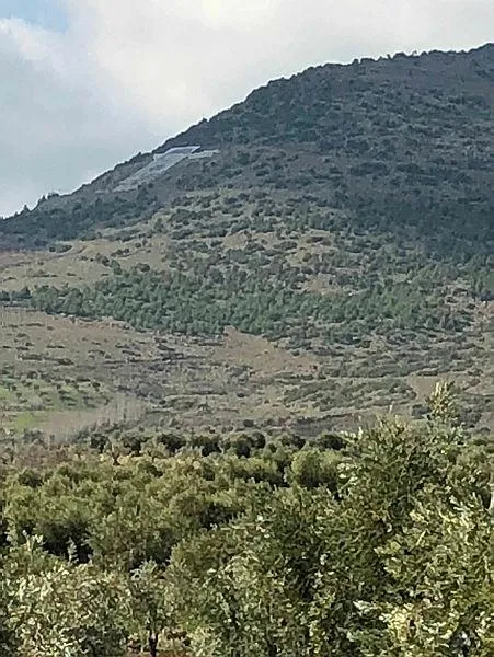 TSK ve ÖSO'nun Afrin'deki ilerleyişi sürüyor-7