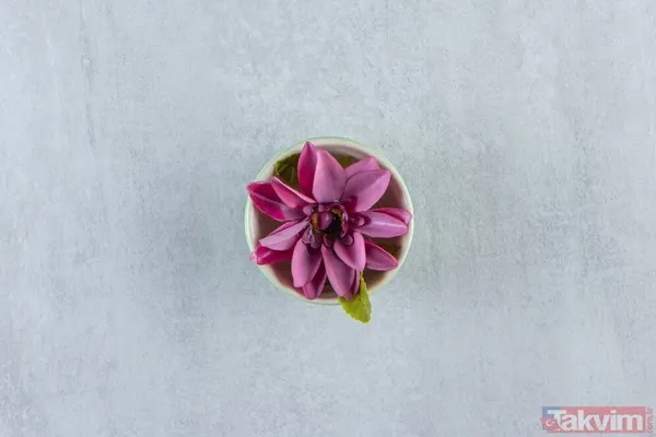 Lotus Yaprağı Çayı İçin Lotus Yaprağı Çayı, Asya'da Özellikle Kilo Kontrolü, Sindirim Düzeni Ve Toksin Atımı İçin Kullanılan Geleneksel Bir Bitki Çayıdır...