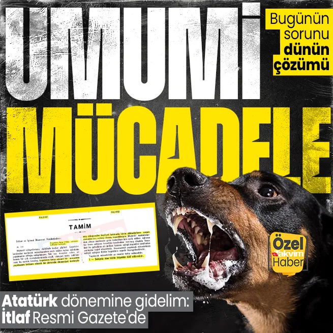 Başıboş sokak köpeği sorununa tarihsel bakış! Atatürk dönemindeki Resmi Gazetede umumi mücade vurgusu