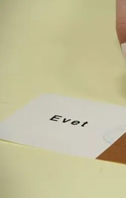ABD'deki gurbetçiler oy kullanmaya başladı