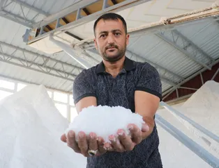 Sivas'ta üretiliyor 'beyaz altın' olarak biliniyor! 2 yıldır fiyatı artmayan tek ürün...