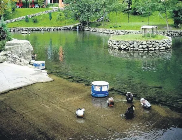 Hafta sonu İstanbul'a yakın mesafede doğanın tadını çıkarabileceğiniz yerler-2