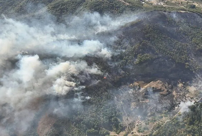 İhmal ve vurdumduymazlık!