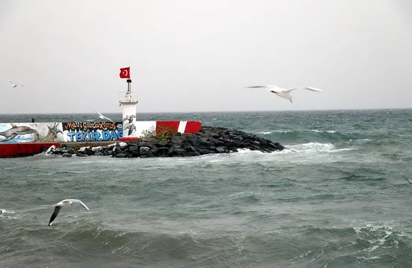 2-aralik-persembe-hava-durumu-meteorolojiden-kar-ve-firtina-uyarisi-istanbula-kar-yagacak-mi-1638415473198.jpg 2 ARALIK PERŞEMBE HAVA DURUMU | Meteoroloji'den kar ve fırtına uyarısı! İstanbul'a kar yağacak mı?-13