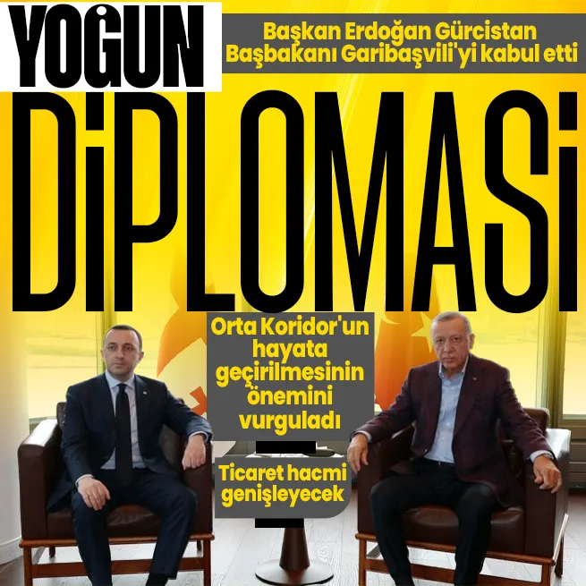 Başkan Recep Tayyip Erdoğan, Gürcistan Başbakanı Irakli Garibashvili’yi kabul etti